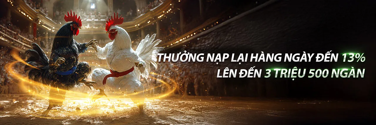 Tin tức i5bet trang chủ chính thức 2026