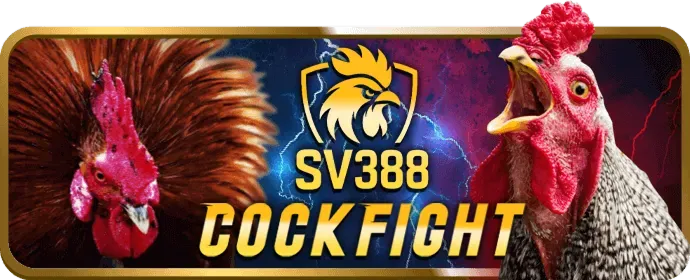 Cá cược có trách nhiệm tại i5bet